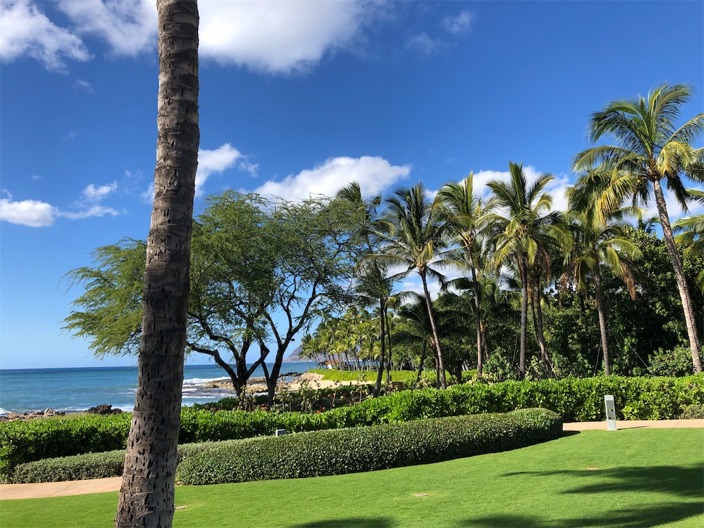 f:id:katchamans:20190120230724j:image