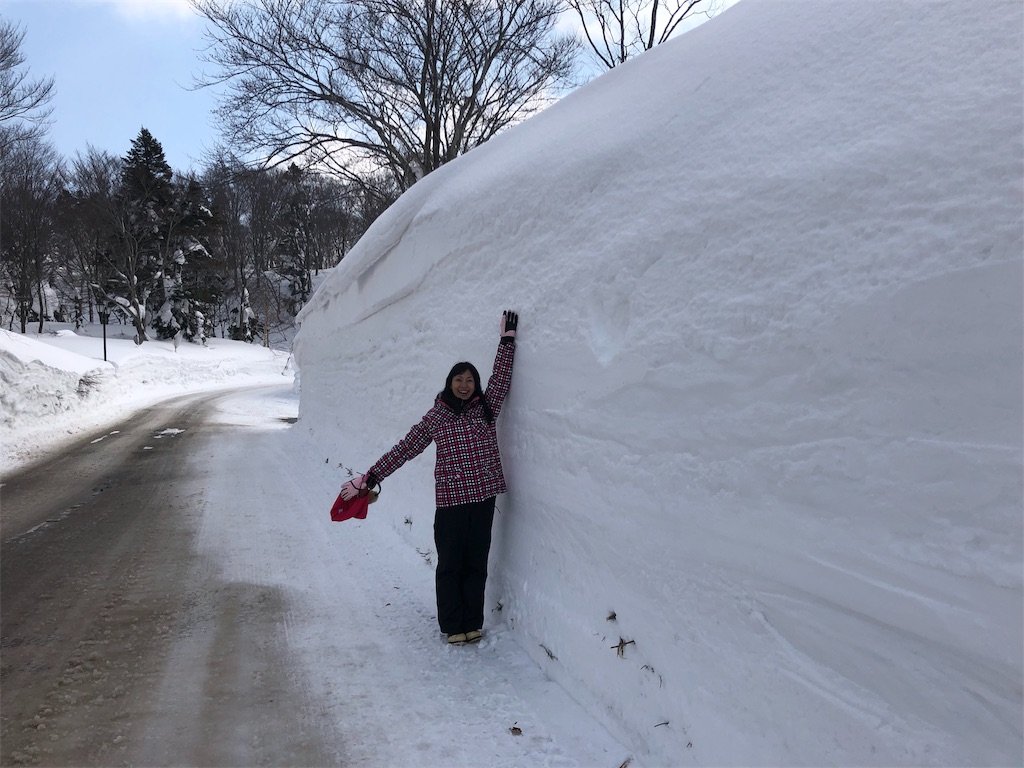 f:id:katchamans:20190228100934j:image