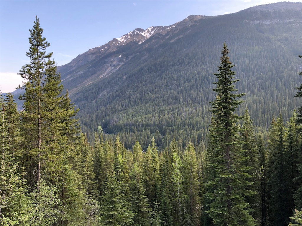 f:id:katchamans:20190602122500j:image f:id:katchamans:20190602122500j:image