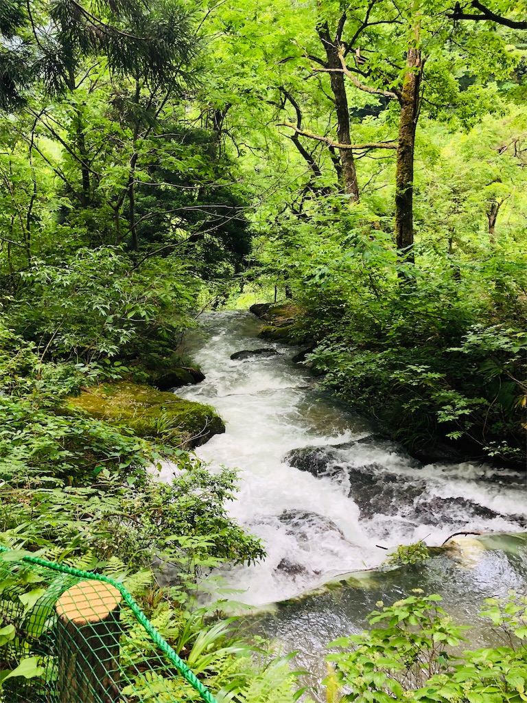 f:id:katchamans:20190701200411j:image