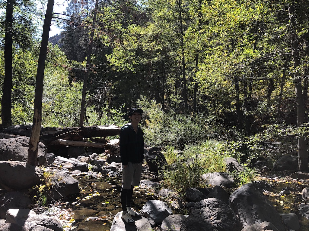f:id:katchamans:20191024203946j:image f:id:katchamans:20191024203946j:image