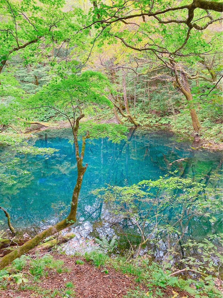 f:id:katchamans:20201024192343j:image