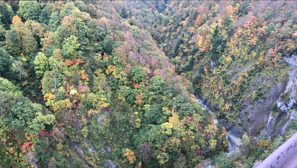 f:id:katchamans:20201026022849j:image