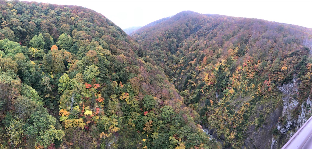 f:id:katchamans:20201026022901j:image