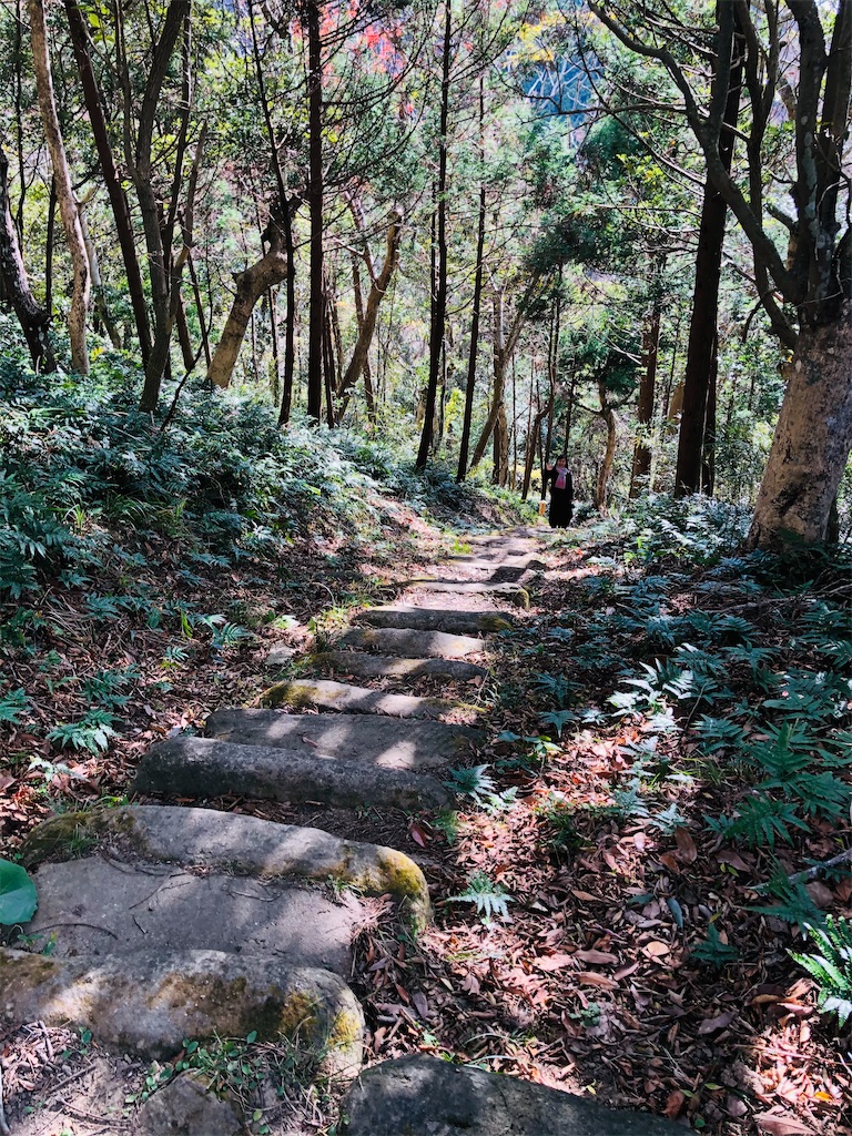 f:id:katchamans:20201224165855j:image