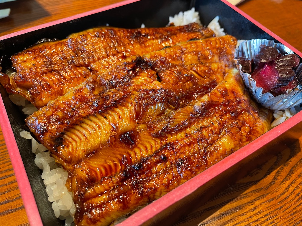 f:id:katchamans:20210320005738j:image