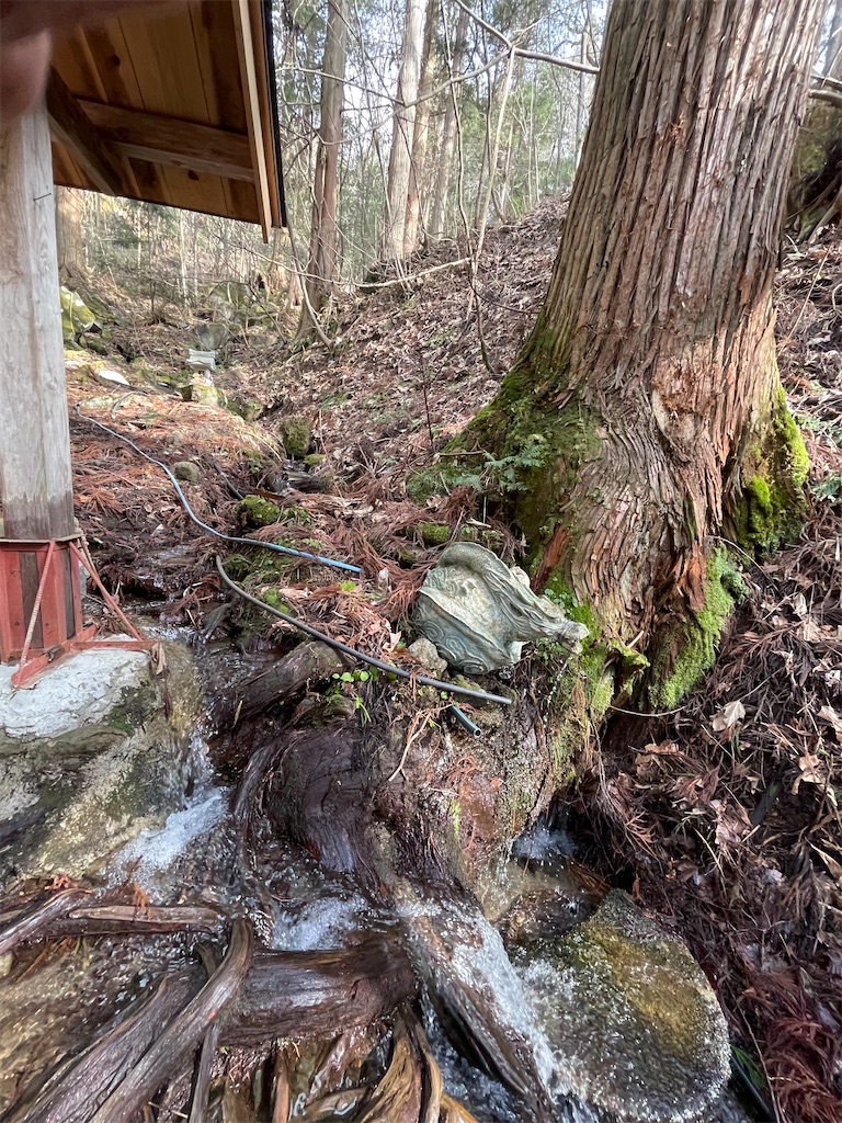 f:id:katchamans:20210405005442j:image