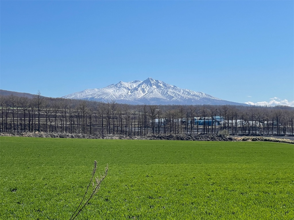 f:id:katchamans:20210426222532j:image