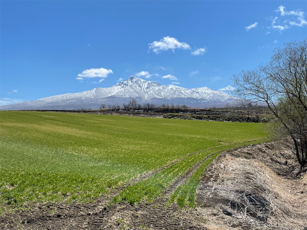 f:id:katchamans:20210426222545j:image