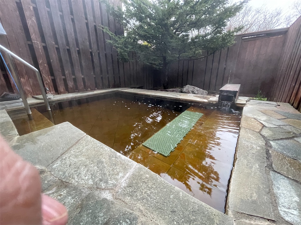 f:id:katchamans:20210426233800j:image