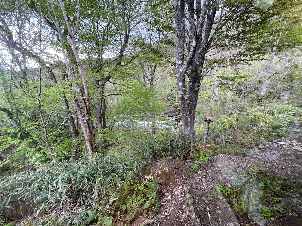 f:id:katchamans:20210511184509j:image