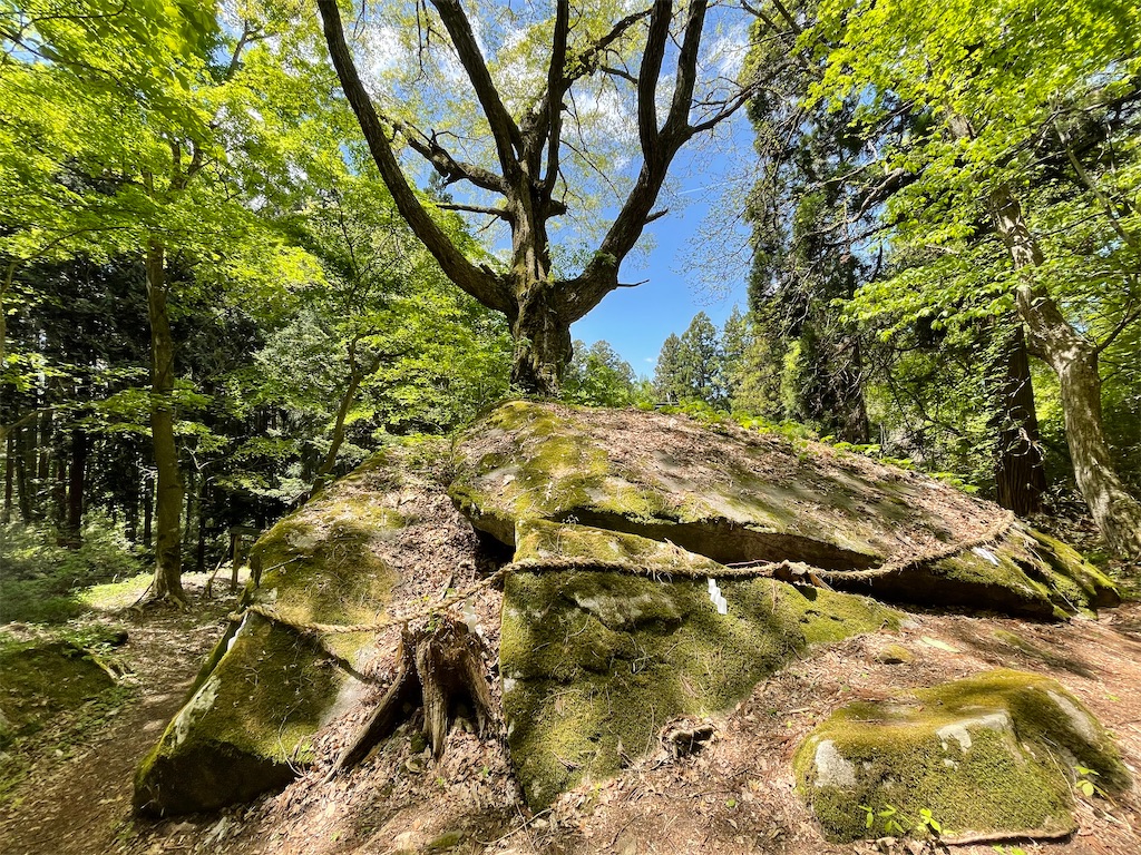 f:id:katchamans:20210514213707j:image