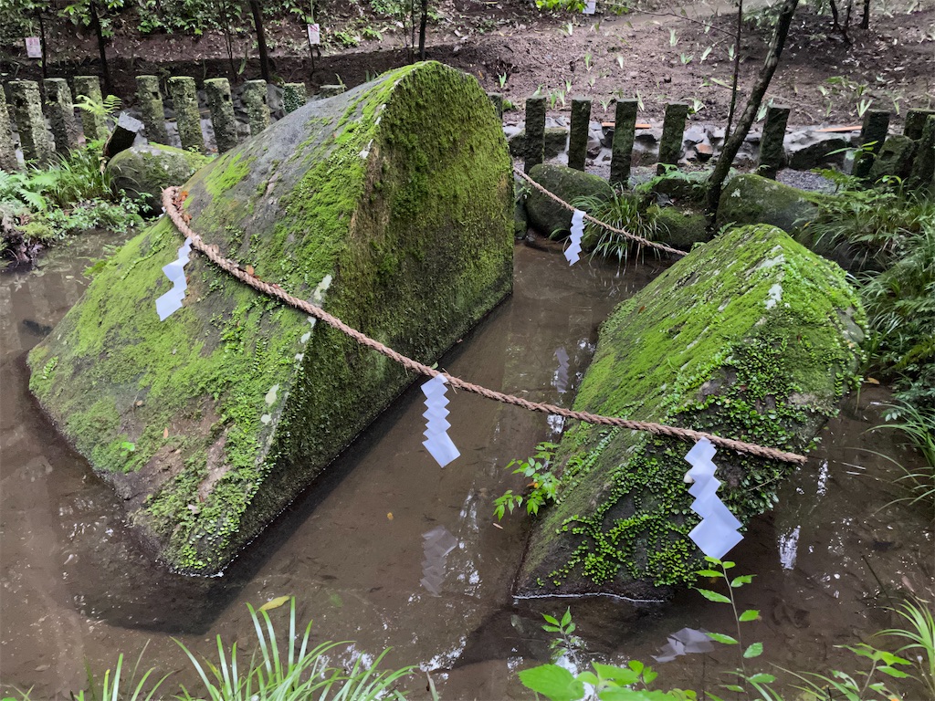 f:id:katchamans:20210613223646j:image