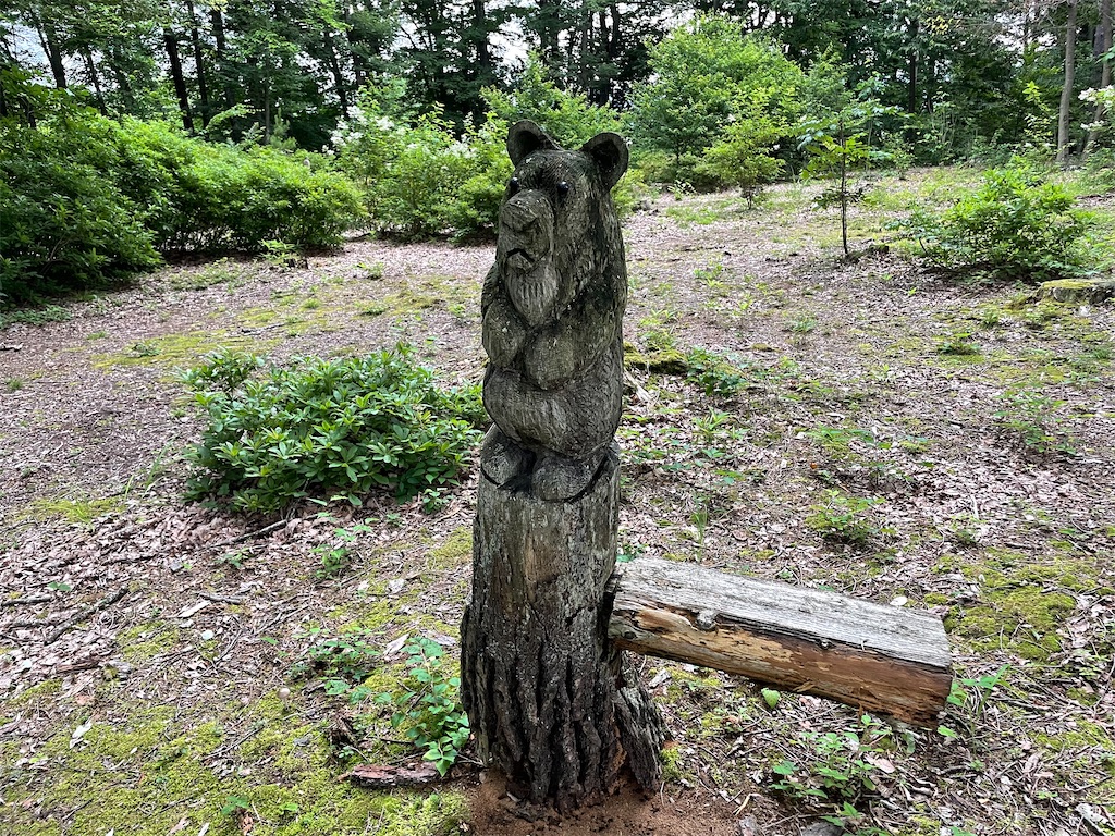 f:id:katchamans:20210714153250j:image