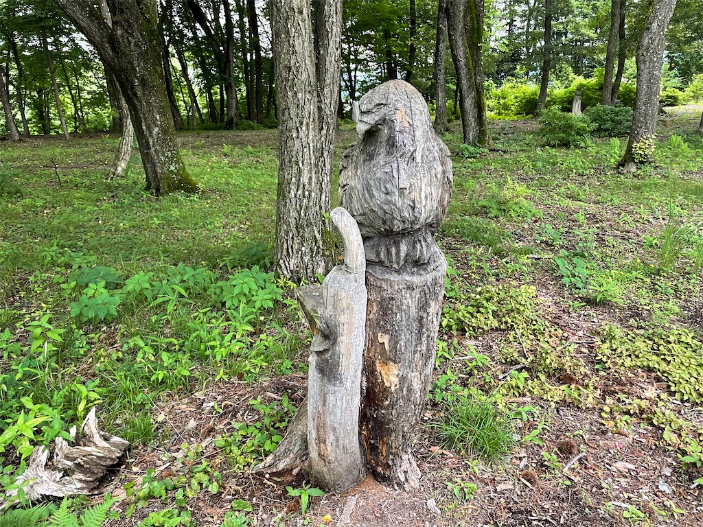 f:id:katchamans:20210714153254j:image