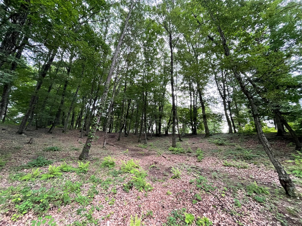 f:id:katchamans:20210714153257j:image