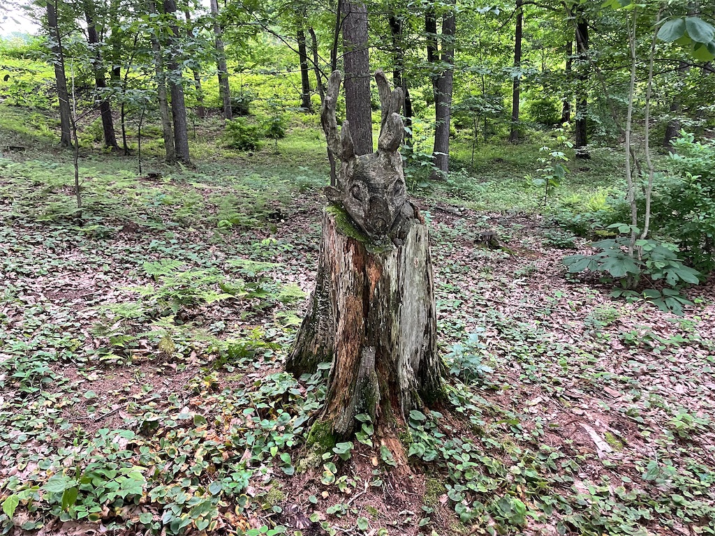 f:id:katchamans:20210714153301j:image