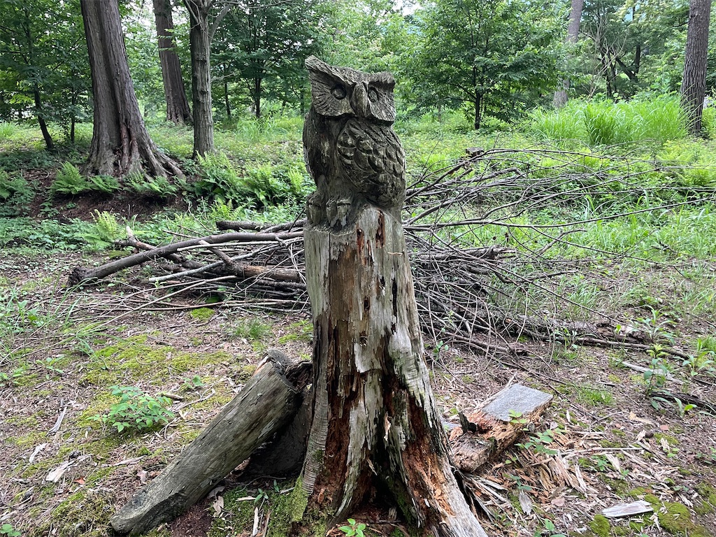 f:id:katchamans:20210714153309j:image