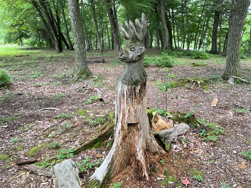 f:id:katchamans:20210714153312j:image