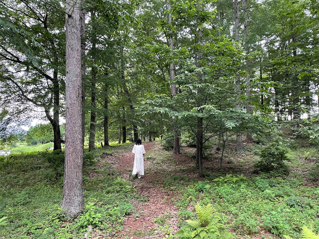 f:id:katchamans:20210714153315j:image