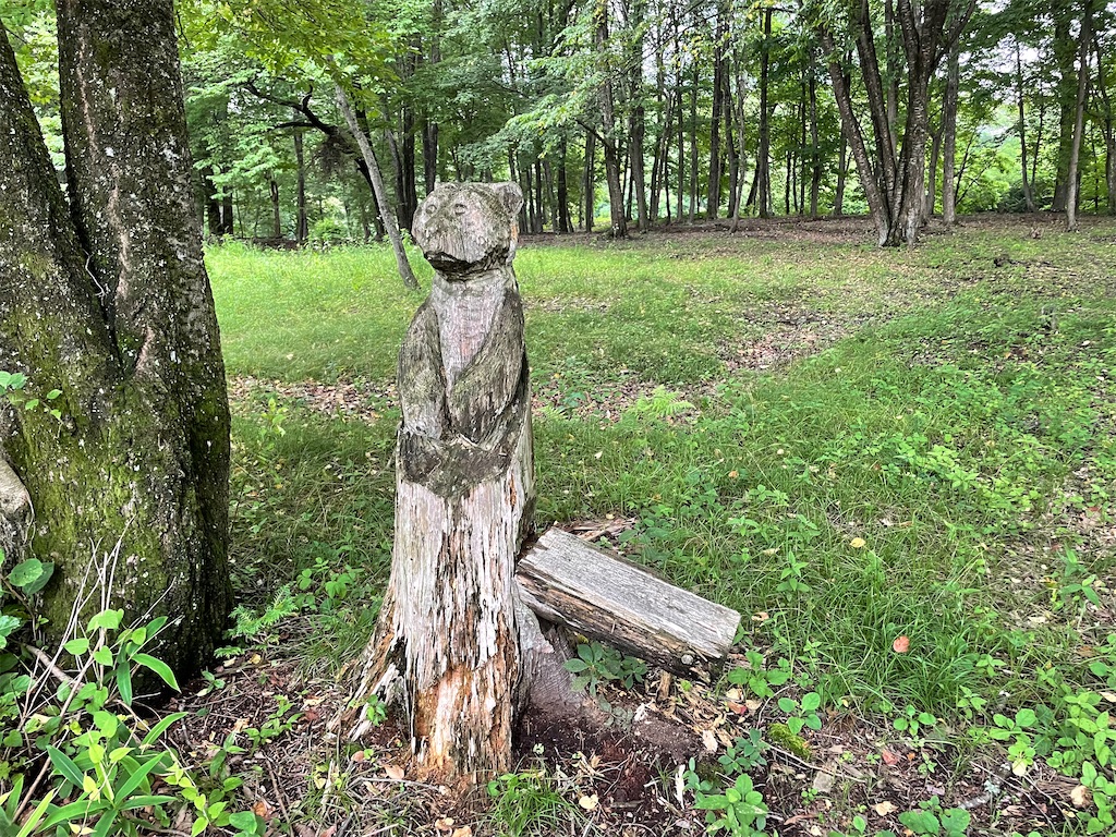 f:id:katchamans:20210714153323j:image