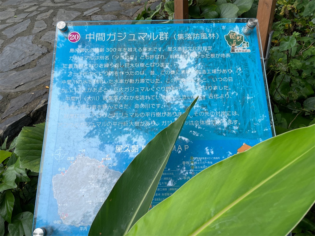 f:id:katchamans:20210722150243j:image