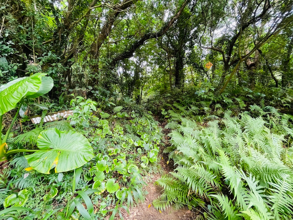 f:id:katchamans:20210722154947j:image