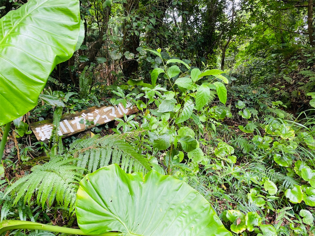 f:id:katchamans:20210722154954j:image