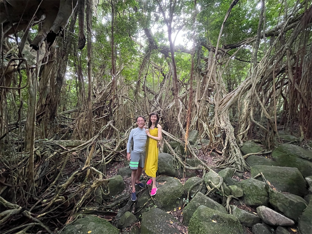 f:id:katchamans:20210722220845j:image