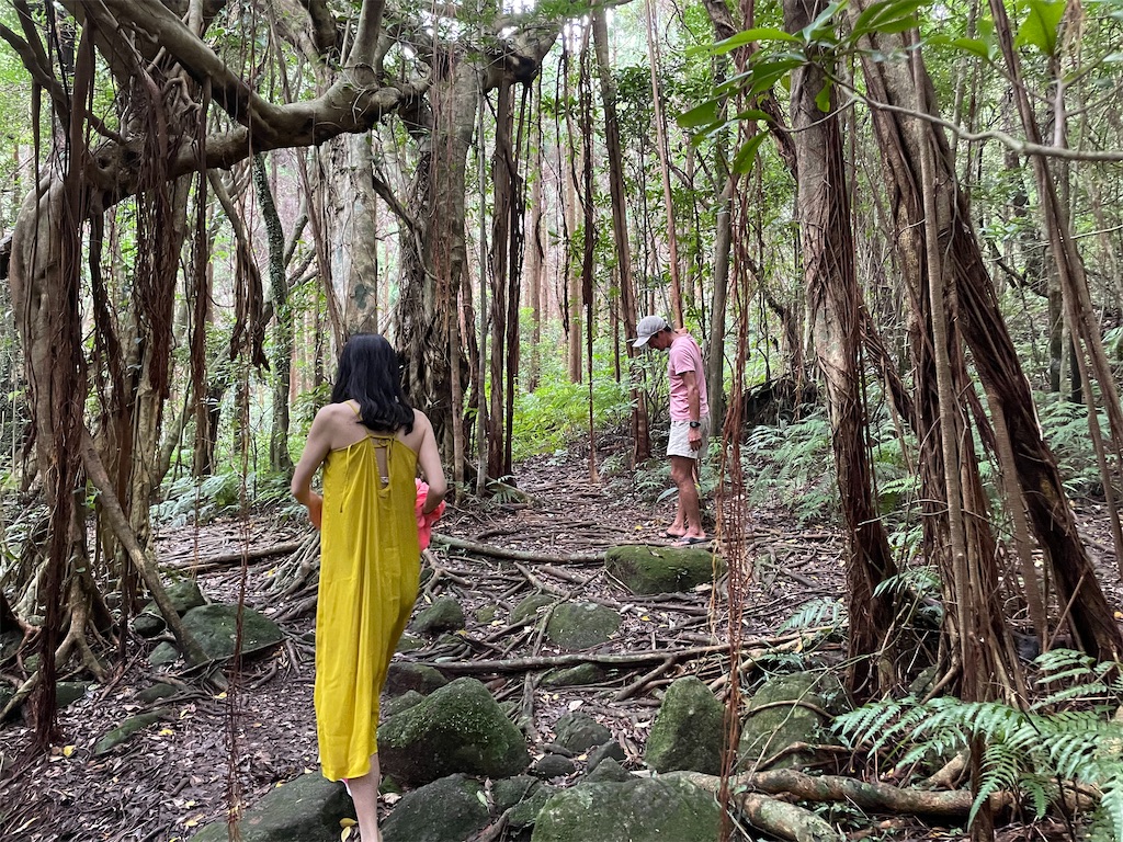 f:id:katchamans:20210722220917j:image