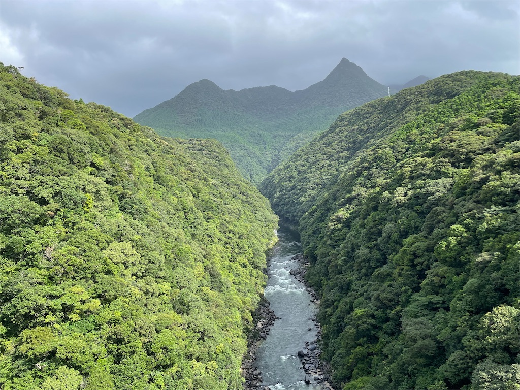 f:id:katchamans:20210807174324j:image f:id:katchamans:20210807174324j:image