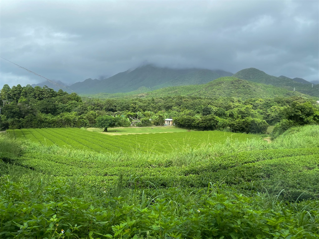 f:id:katchamans:20210807174328j:image f:id:katchamans:20210807174328j:image