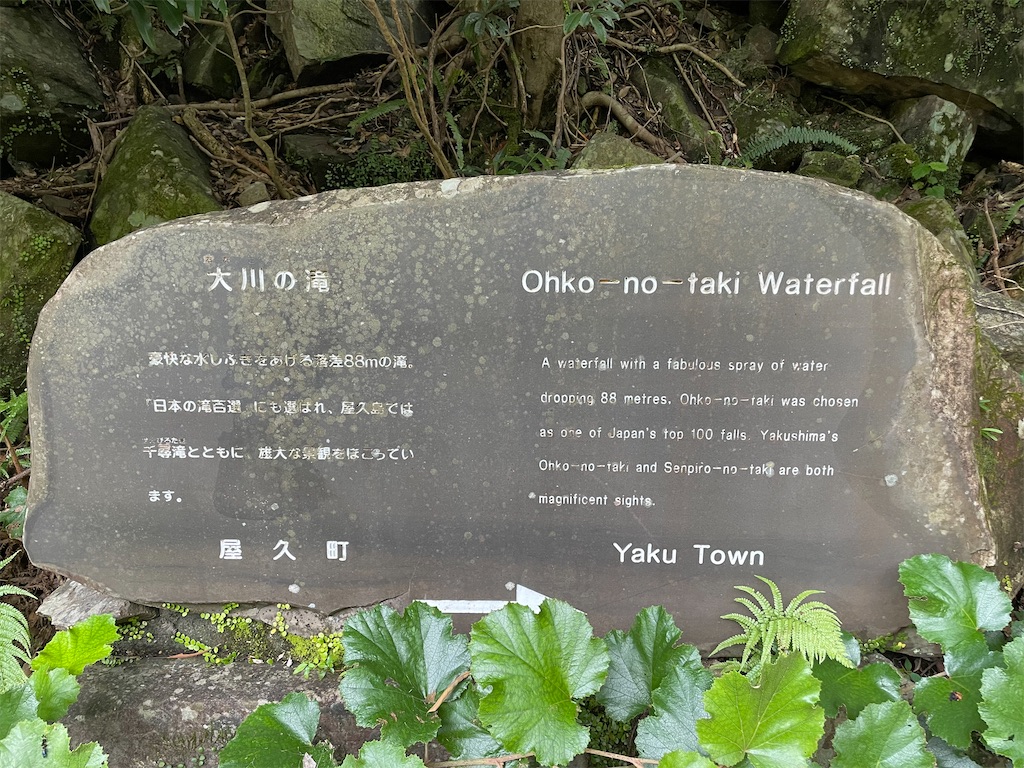 f:id:katchamans:20210808104333j:image