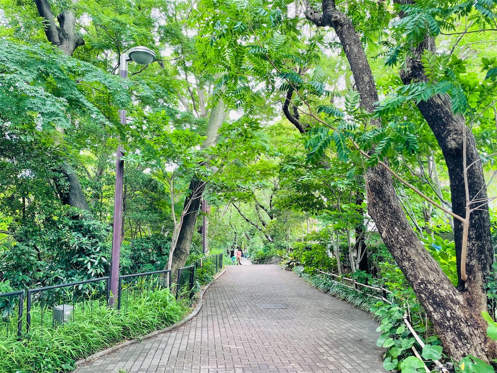 f:id:katchamans:20220622193437j:image