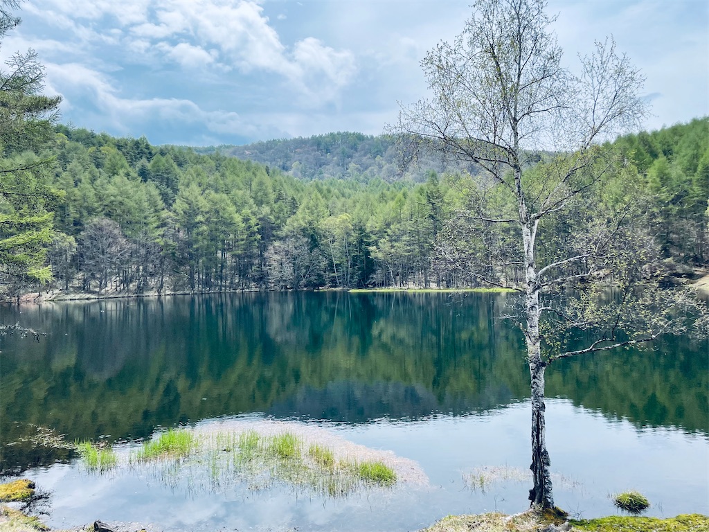 f:id:katchamans:20220710071723j:image