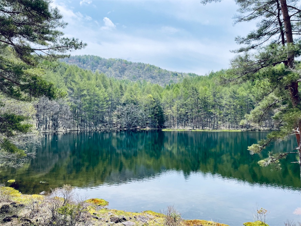 f:id:katchamans:20220710071727j:image