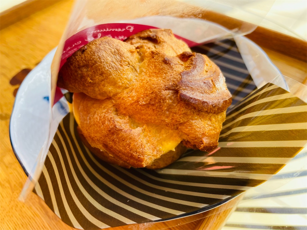 f:id:katchamans:20230109182405j:image