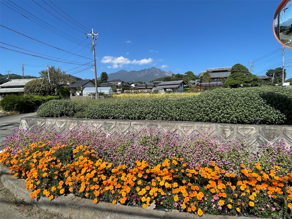 f:id:katchamans:20230110173542j:image