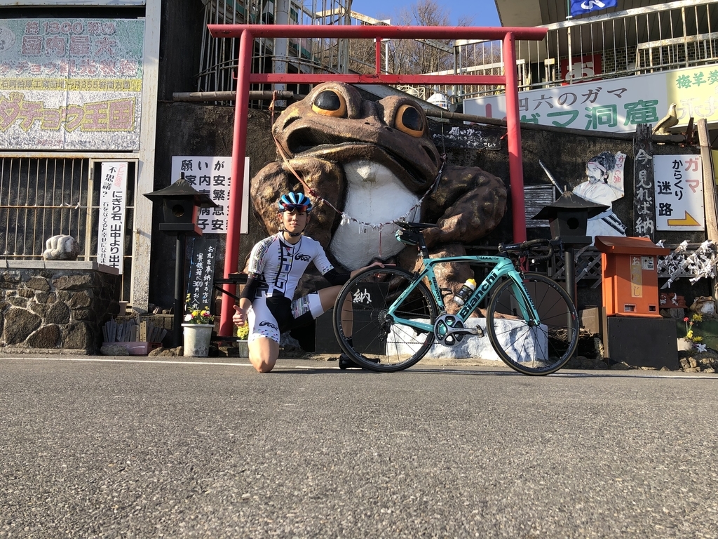 f:id:katchunn:20190310075759j:plain f:id:katchunn:20190310075759j:plain