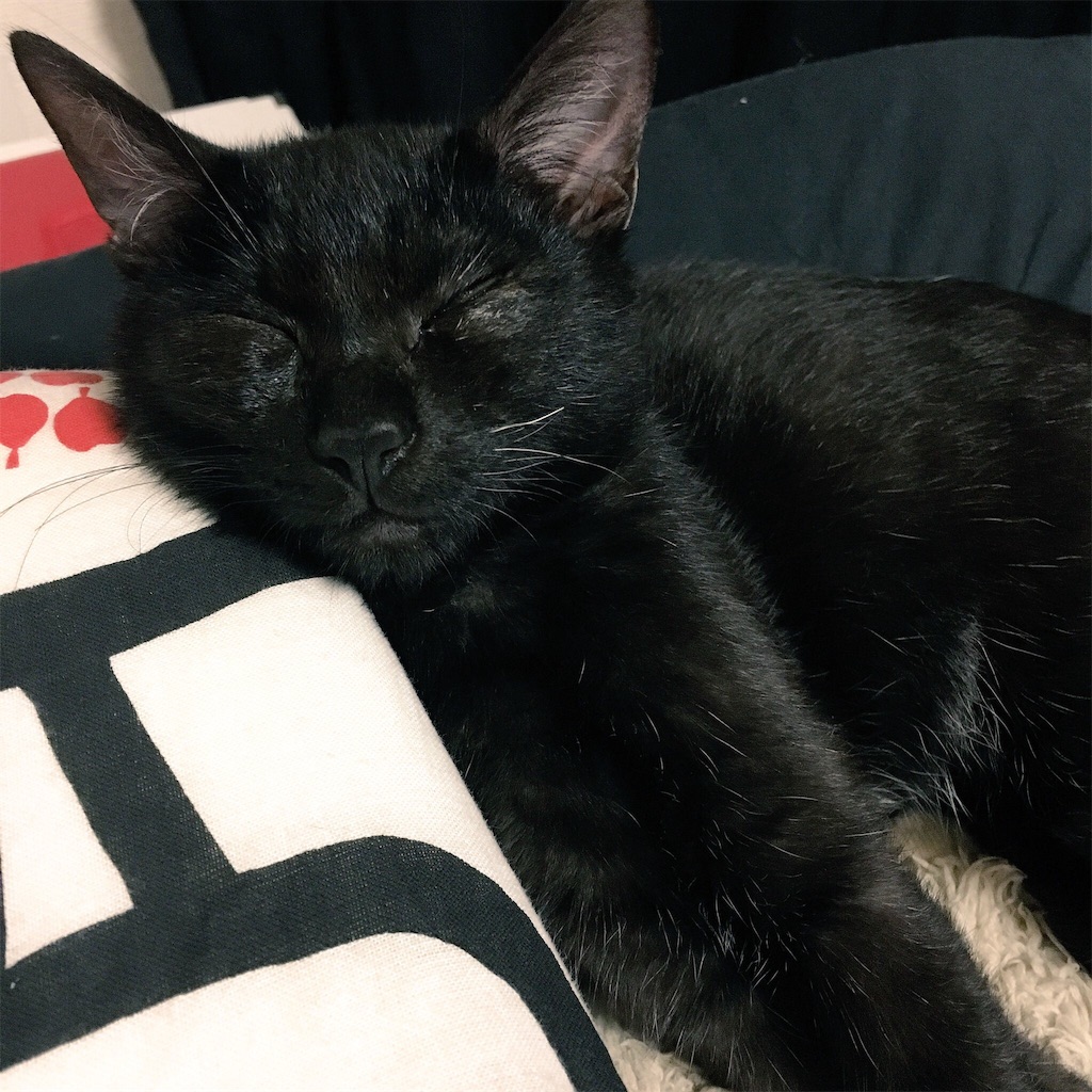 f:id:kate-yuumi510:20161227135444j:image