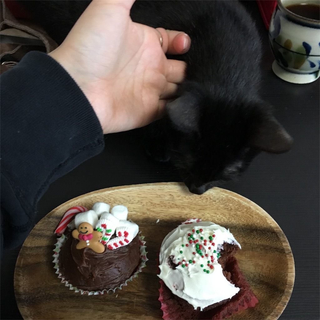 f:id:kate-yuumi510:20161227140303j:image