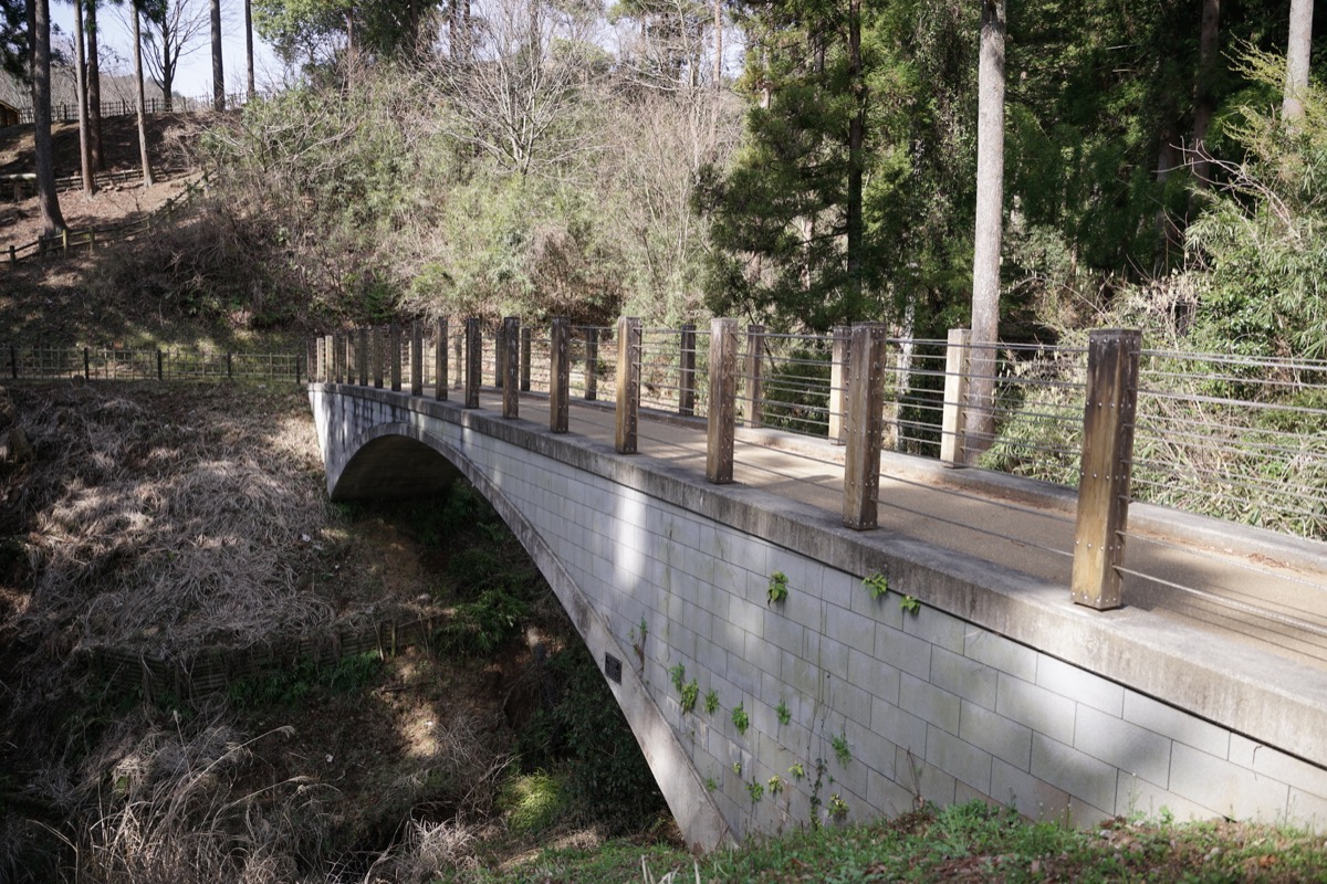 f:id:kate5656:20200321092616j:plain f:id:kate5656:20200321092616j:plain