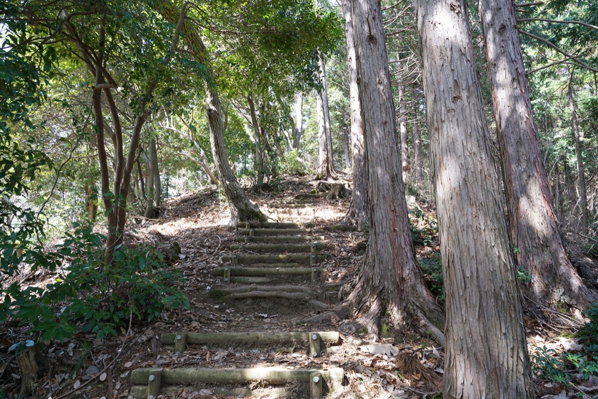 f:id:kate5656:20200321110257j:plain f:id:kate5656:20200321110257j:plain