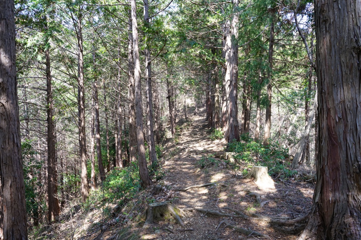 f:id:kate5656:20200321110557j:plain f:id:kate5656:20200321110557j:plain