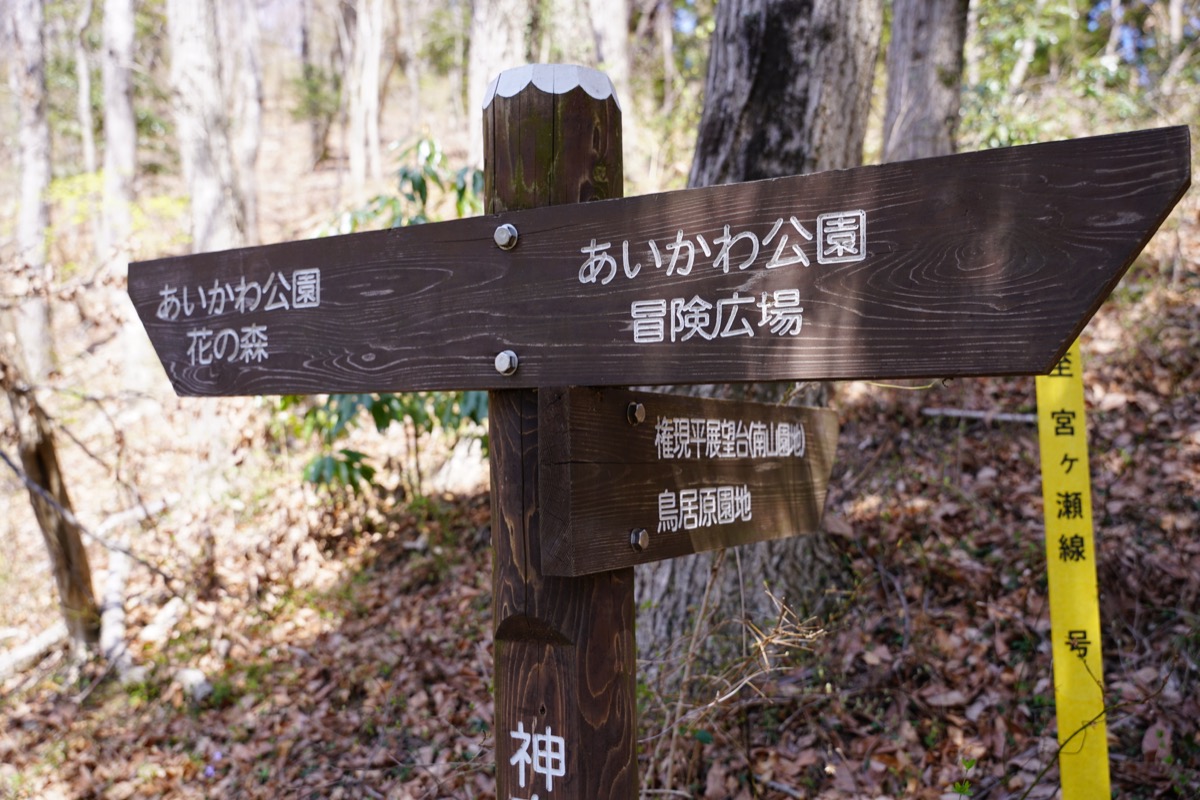 f:id:kate5656:20200321111708j:plain f:id:kate5656:20200321111708j:plain