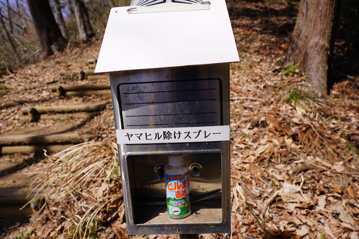 f:id:kate5656:20200321111848j:plain f:id:kate5656:20200321111848j:plain