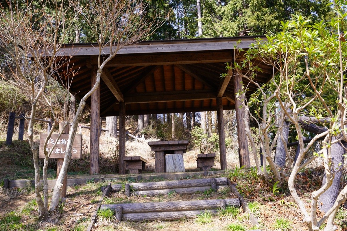 f:id:kate5656:20200321112518j:plain f:id:kate5656:20200321112518j:plain