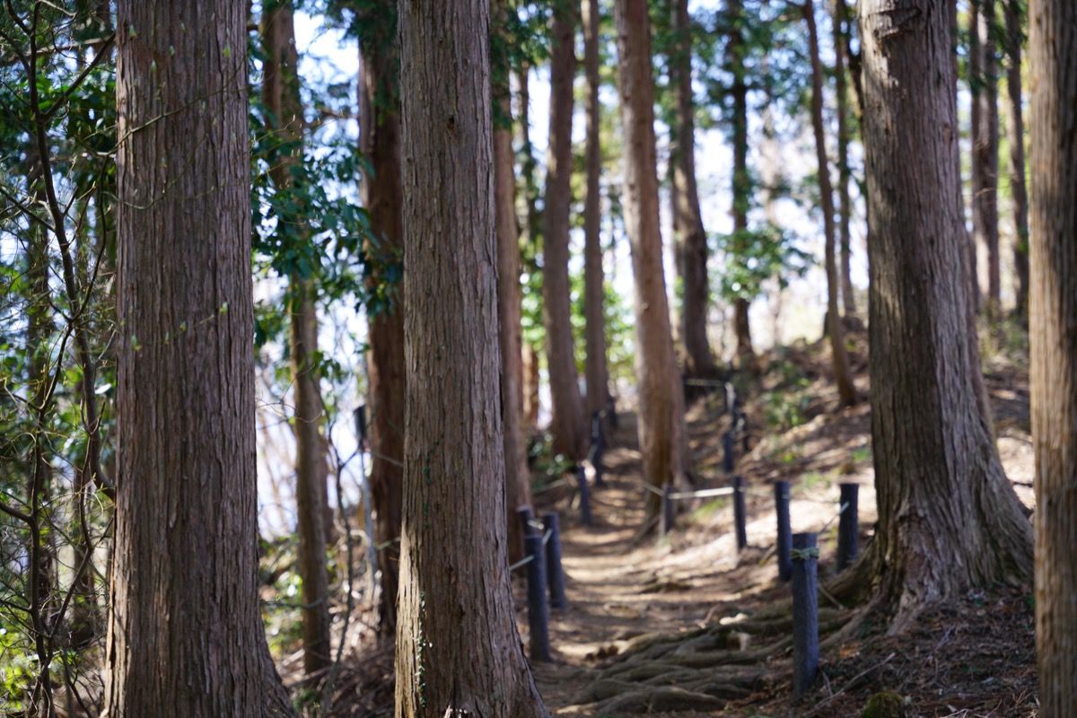 f:id:kate5656:20200321113248j:plain f:id:kate5656:20200321113248j:plain