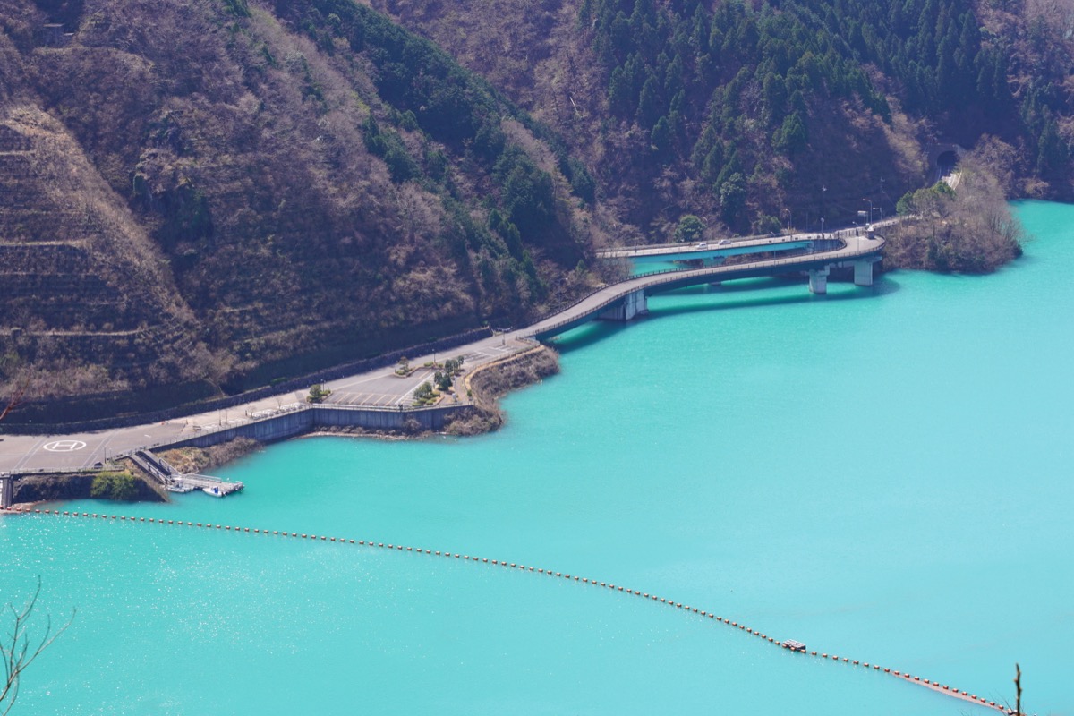 f:id:kate5656:20200321113644j:plain f:id:kate5656:20200321113644j:plain