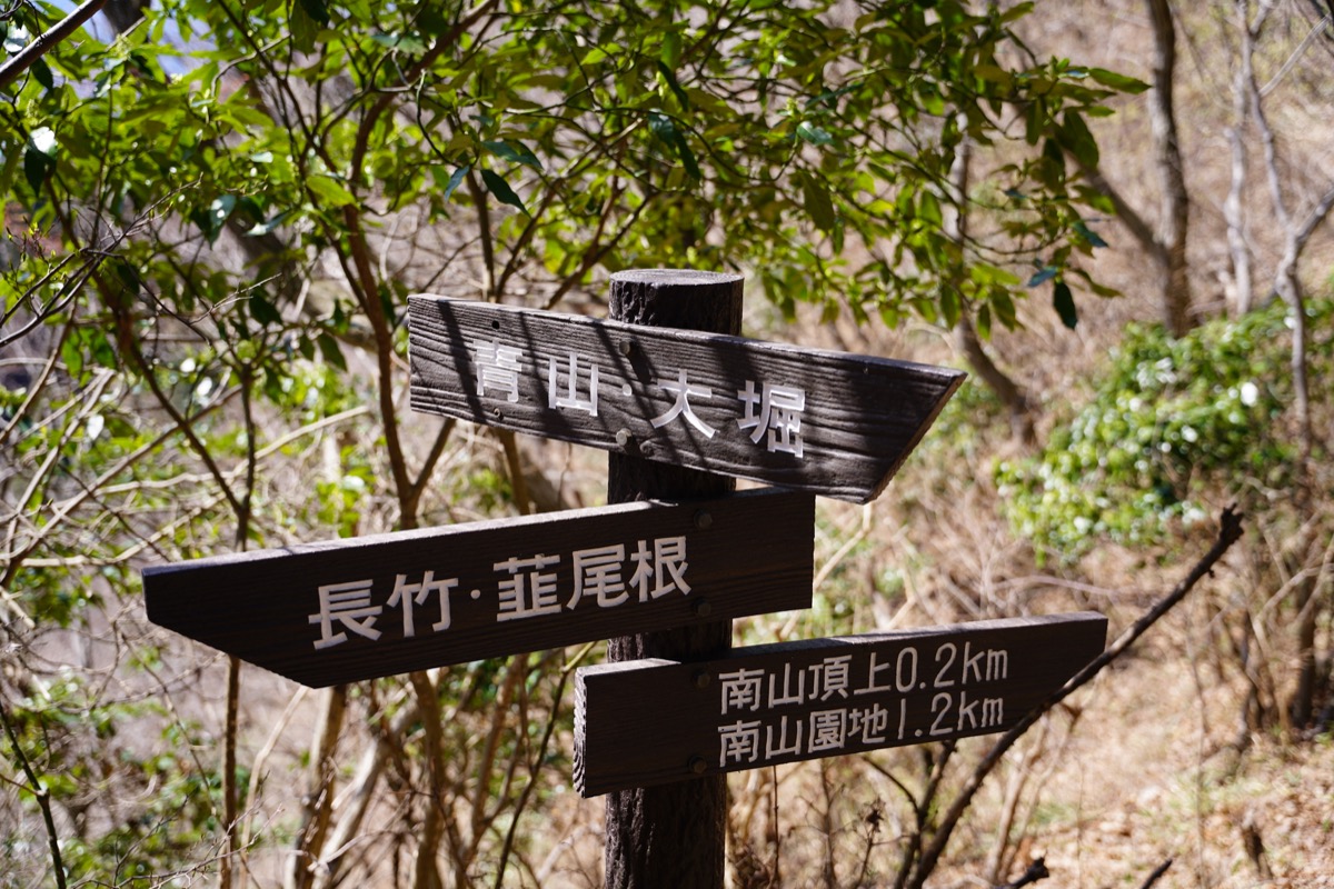 f:id:kate5656:20200321114916j:plain f:id:kate5656:20200321114916j:plain